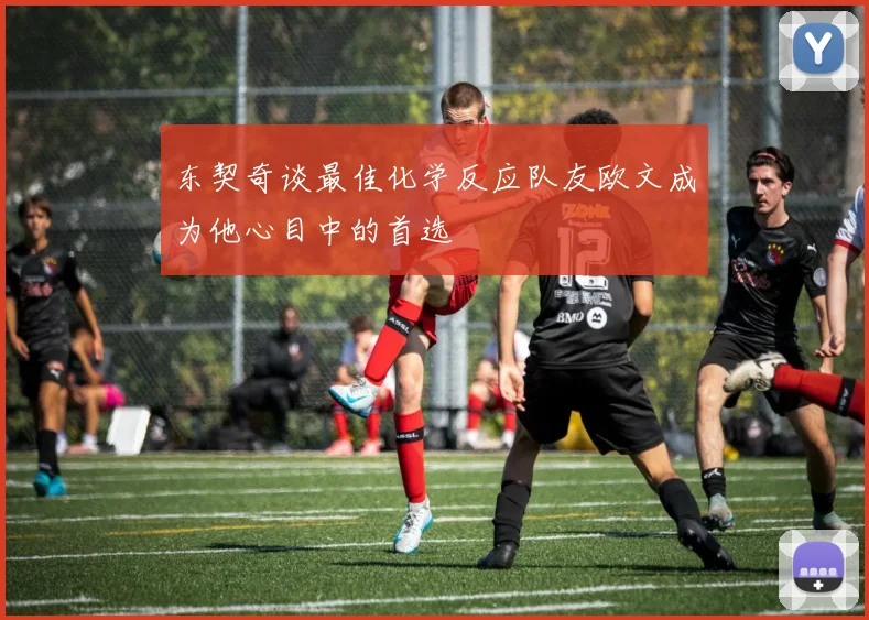 东契奇谈最佳化学反应队友欧文成为他心目中的首选