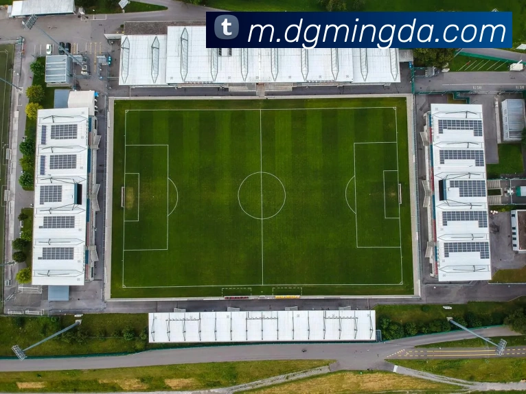 Kaiyun体育app官平台生态图